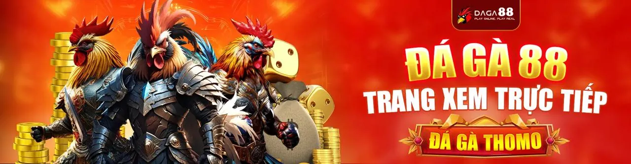 Quản lý tài khoản 6886win nhà cái