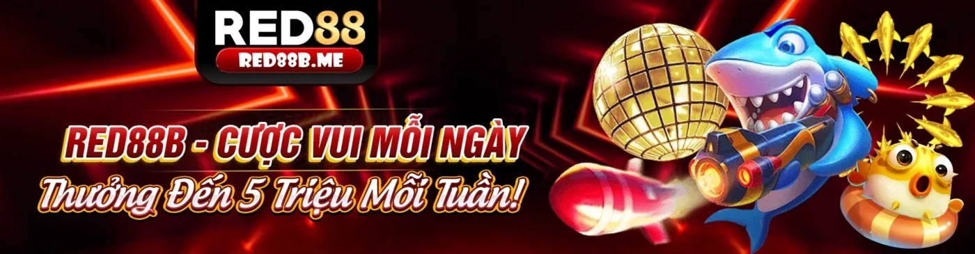 Tin tức mới nhất từ 6886win nhà cái