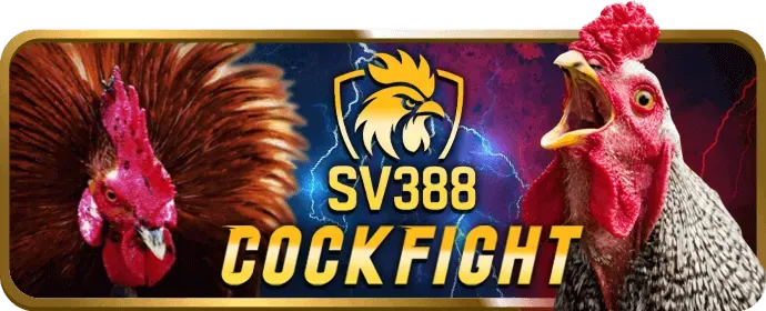 Ưu đãi nạp tiền hàng ngày tại 6886win nhà cái